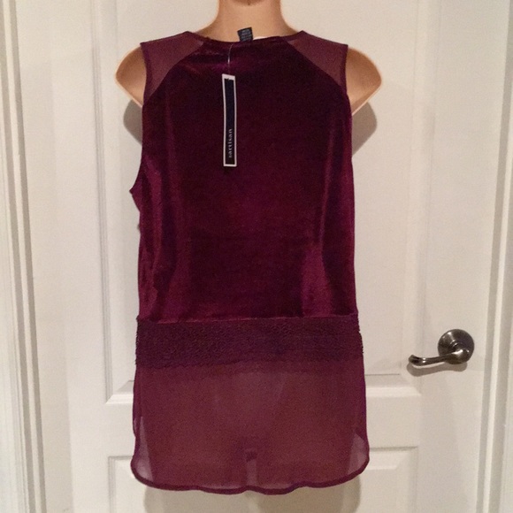 NWT By Artisan Madalena Velvet Blouse - Picture 5 of 5